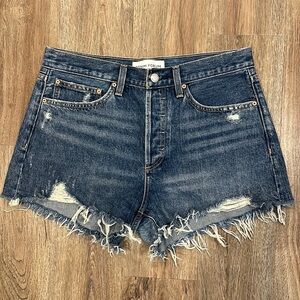 Aritzia Denim Forum Ex Boyfriend Short